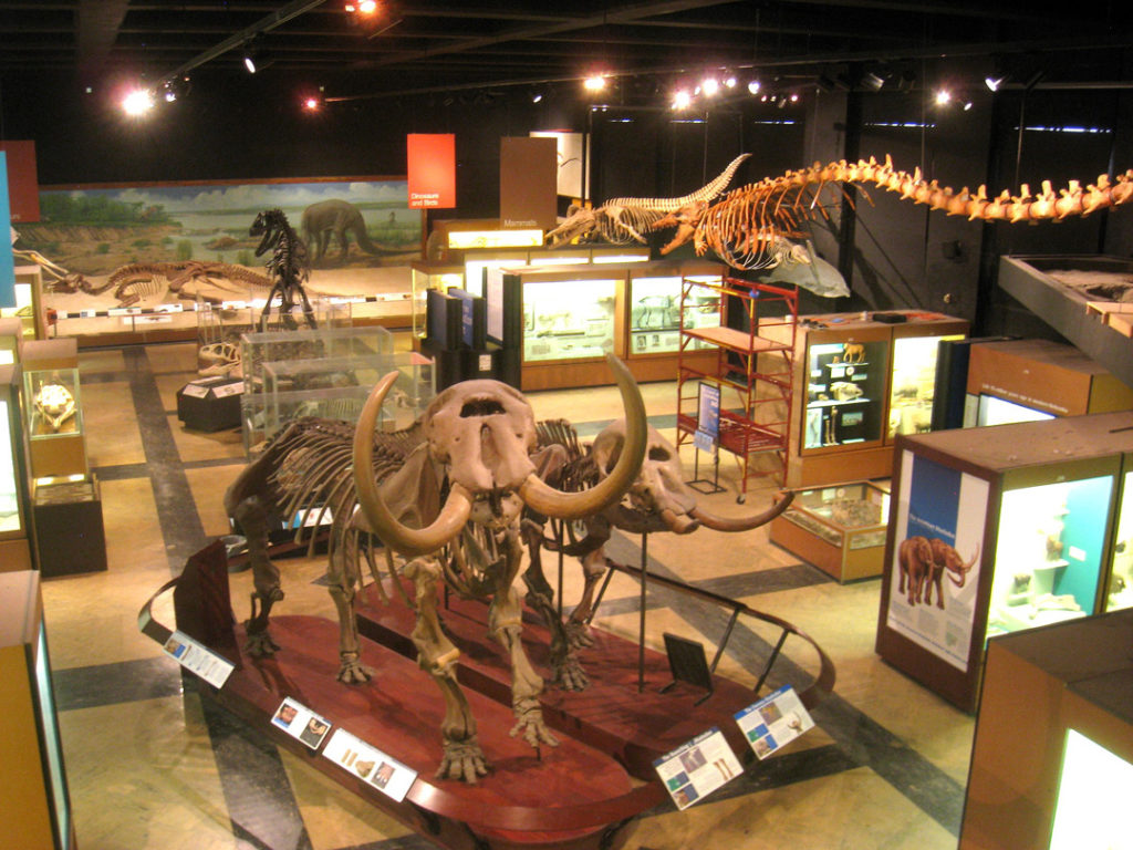 University-of-Michigan-Museum-of-Natural-History