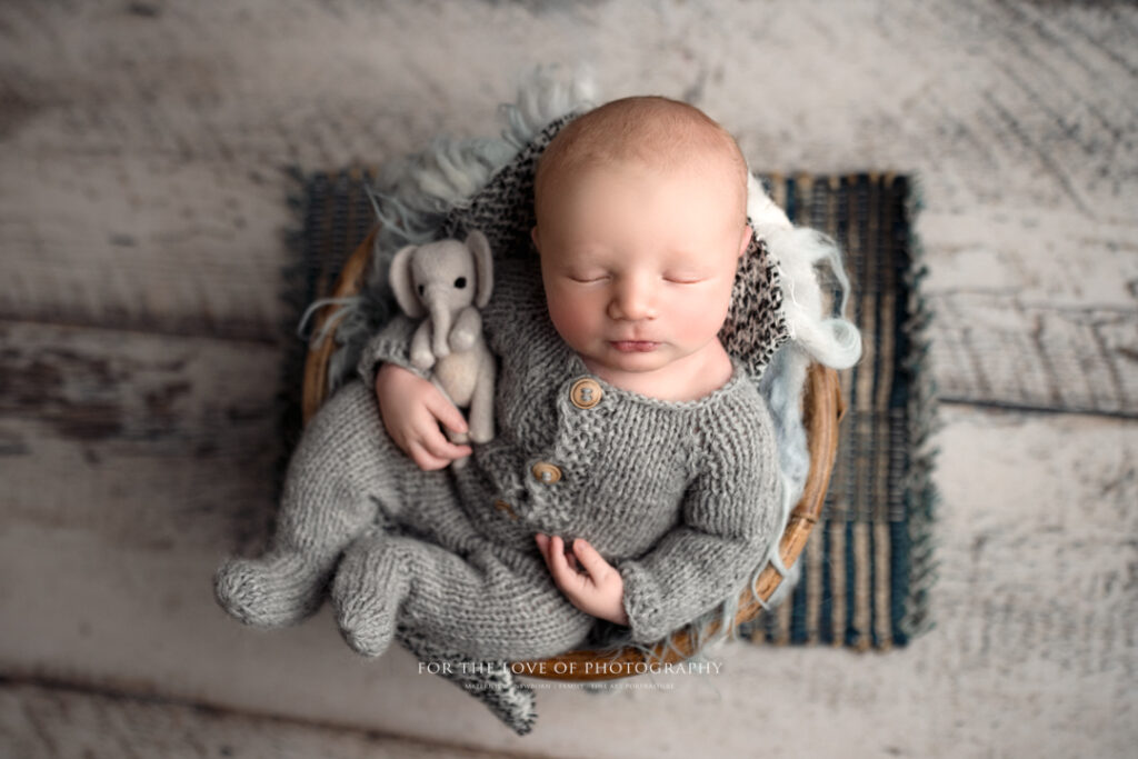 Professional Baby Photography Newborn Holding Elephant by For The Love Of Photography